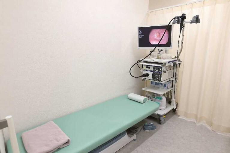 検査方法　胃カメラ検査をメインに
