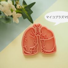 風邪じゃない？マイコプラズマ肺炎の症状・うつる期間・治し方を呼吸器科医が解説